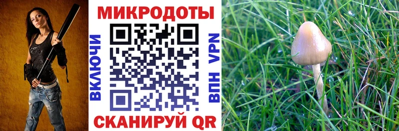 Галлюциногенные грибы Psilocybe  Улан-Удэ 