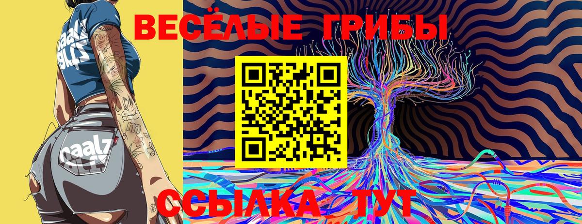 Псилоцибиновые грибы Psilocybe  где продают наркотики  Улан-Удэ  Вход с VPN 