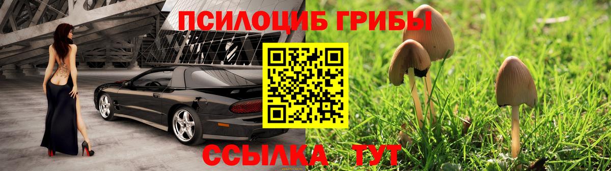 Псилоцибиновые грибы мухоморы  Псилоцибиновые грибы Psilocybe  Улан-Удэ 