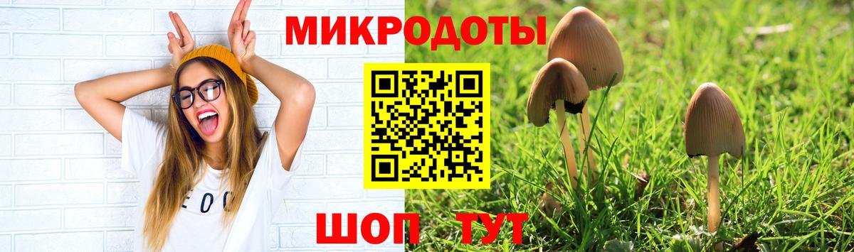 Псилоцибиновые грибы GOLDEN TEACHER Улан-Удэ