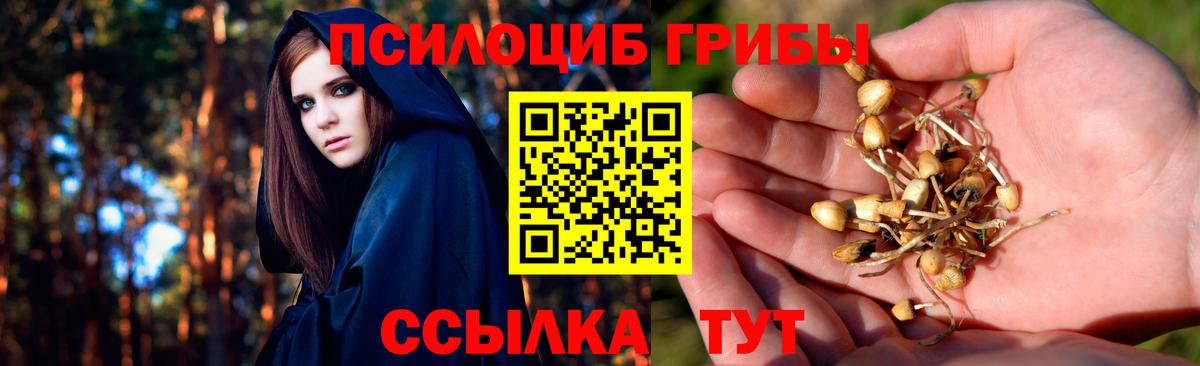 Псилоцибиновые грибы мицелий Улан-Удэ
